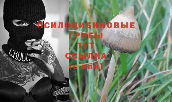 скорость Мегион