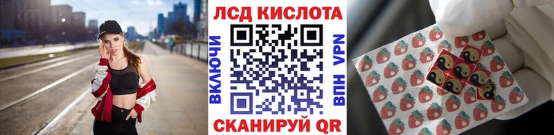 hydra зеркало  Карачев  Наркотические марки 1,5мг  купить наркоту 