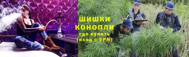 Бошки марихуана THC 21%  Карачев 